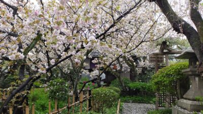 雨宝院(うほういん)